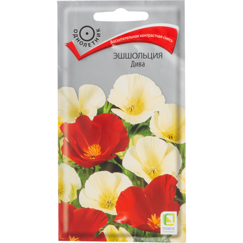 ���� ������ ����� ��������� ���� (��) 0,2� ������ ������