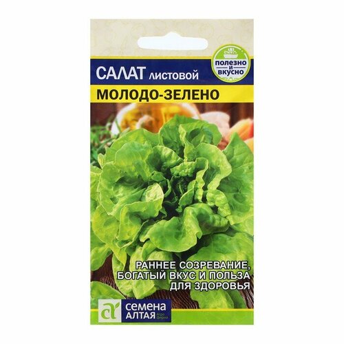 ���� ������ ����� 