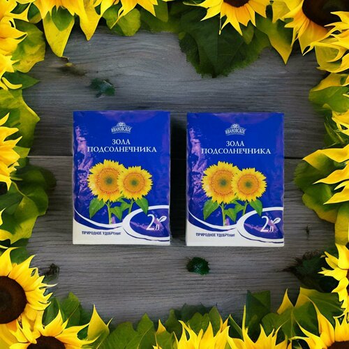 ���� ��������� ���� ������������� 2� / 2��. ���������� ��������� ���������� ������ ������