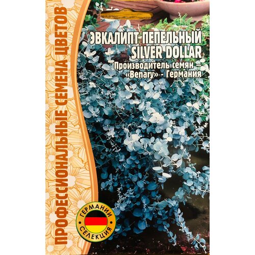 ���� ������ ��������� ���������� 