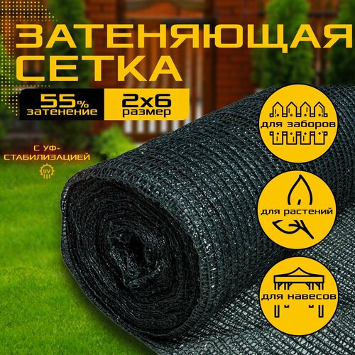 ���� ����� ���������� ��� �������� 2� � 6� - 55 ��/�2 - ��������, ��� �������, �������, �������, ������ ������ ������