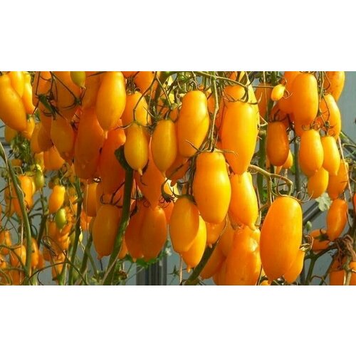 ���� ������ ����� ��������� ���� 10 ��. ������ ������