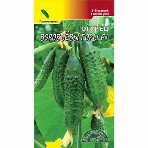 ���� ������ ������ ��������� ���� F1 ����. (�����������) (�������� ���) 0,3� ������ ������