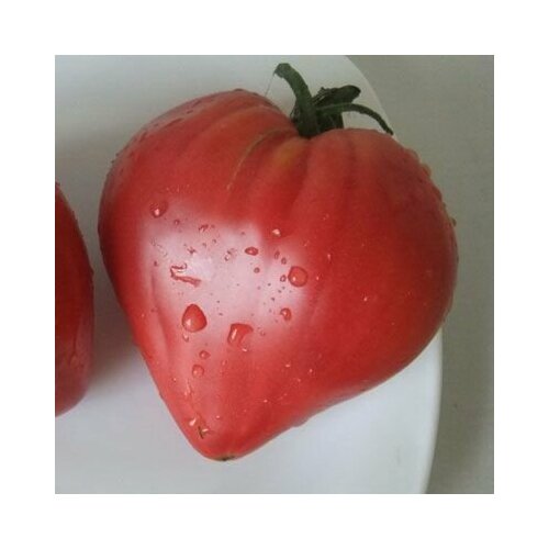 ���� ������������� ������ ������ ���������� �������� ������ ������� ������ ������