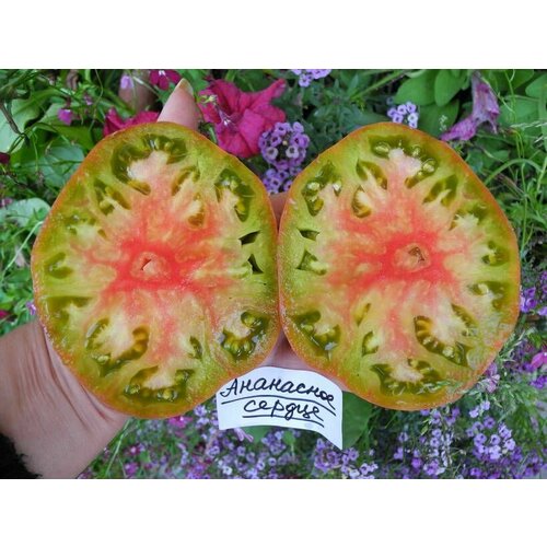 ���� ������������� ������ ������ ��������� ������ ׸���� ������ ������