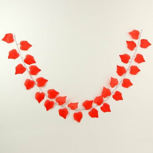 ���� ����� 