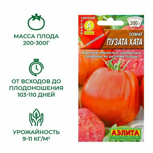 ���� ������ ����� 