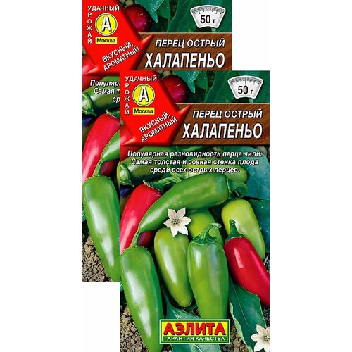 ���� ����� ������ ��������� (0,2 �), 2 ������ ������ ������