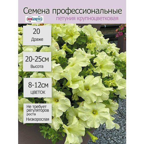 ���� ������� ��������������� ����� ��� �� ����� ���� 20�� ������ ������