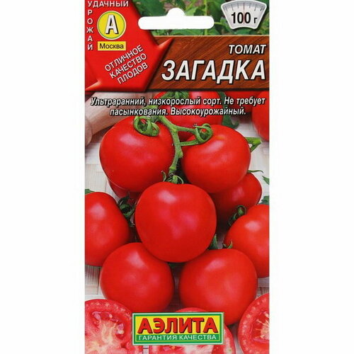 ���� ������ ����� 