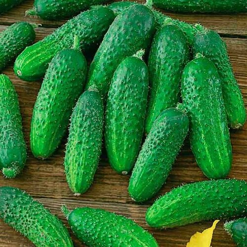 ���� ������������� ������ ������ ��� F1 ������ ������