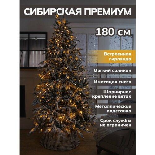 ���� ���� ������������� ����� ����������� � ��������� ������ ������