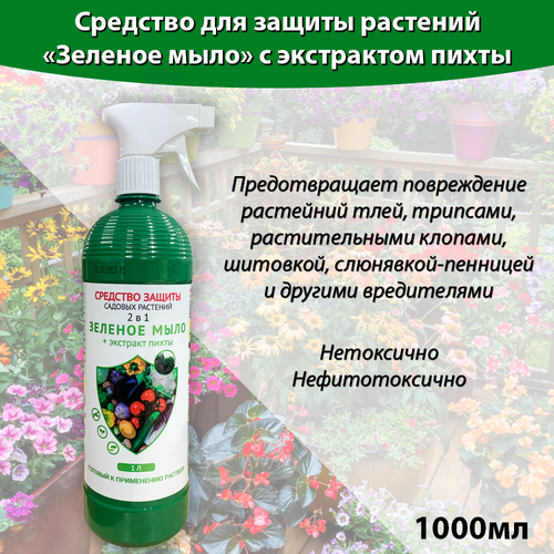 ���� ������� ���� ����� 1 ����, �������� ��� ������ �������� �� ����������, �� ���, �������, ������. ������ ������