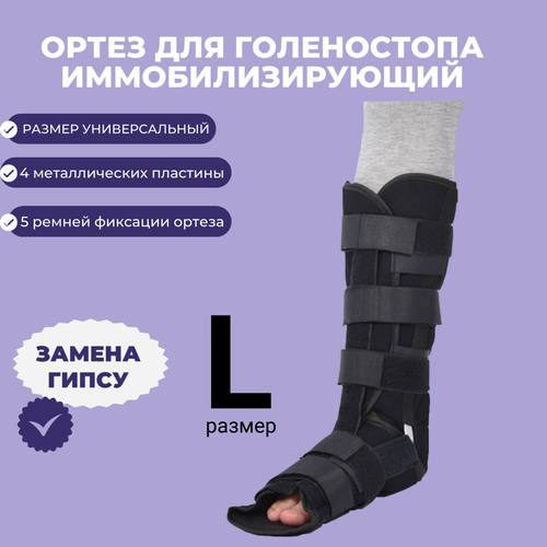 ���� ����� ���������������� �� ������������� ������, � �������������� ����������. ����� ����������� ����������������� , ��� �������, �������, ���������, ������ � �����������. ������� / �������, ����� /������ - (L) ������ ������