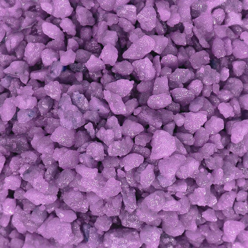 ���� ����������� ����� ��� ��������, ����������� � ��������, Zoo One, ��������� ��������, 