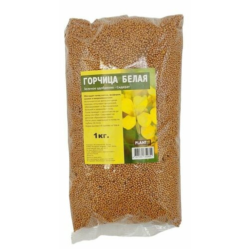 ���� ������� ����� ������� 