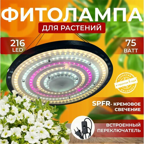          ,  ,  ,     216 LED 75    -     , -, 