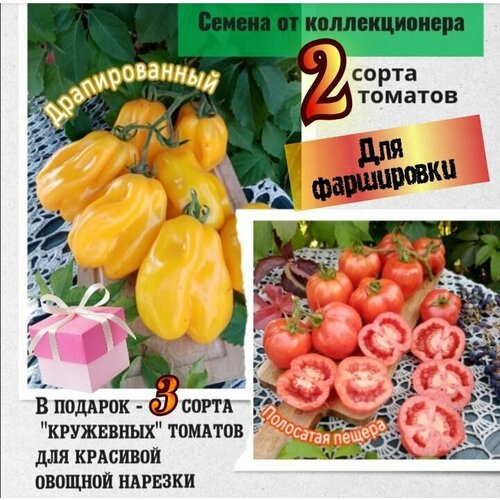 ���� ������ ��� ����������, ������������� � ��������� ������, �������� ������� � ��������, ������������� ����� ������ ������