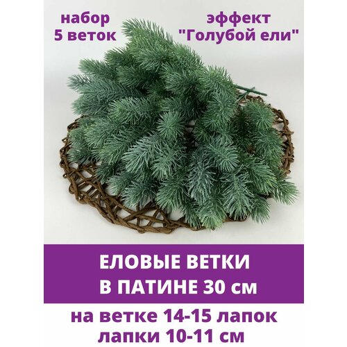 ���� ������ ����� � ������, ������ 