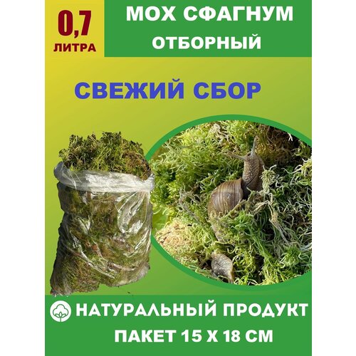 ���� ����� ��� ������� �������� 0,7 ����� ��� �������, ������, �������� ������ ������