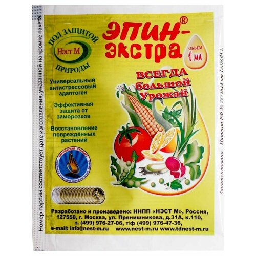 ���� ����-������, 1��. (10 ��) ������ ������