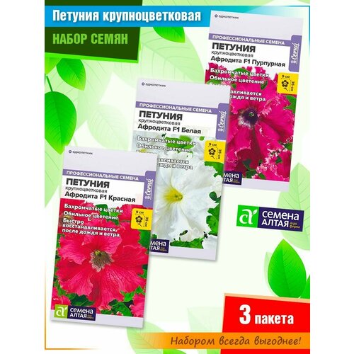 ���� ����� ����� ��������������� ������� �������� �� ������ ����� (3 �����) ������ ������