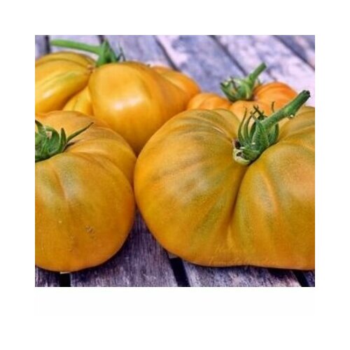 ���� ������������� ������ ������ ���� ����� ���� ������ ������