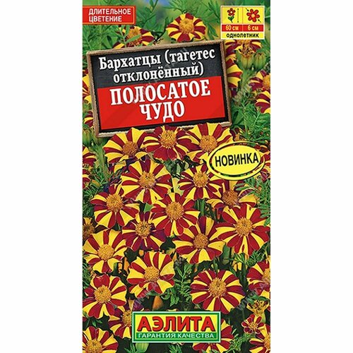 ���� ������ �������� ��������� ���� ����������, (������) 0,1� ������ ������