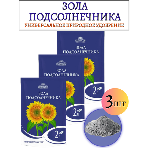 ���� ���������� ���� ������������� 2 �, 3 �� ������ ������