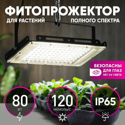       FITO-80W-Ra90-LED-Y     -     , -, 