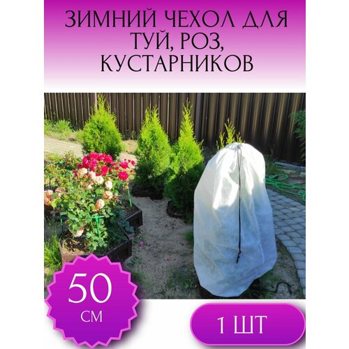 ���� ������ ����� �� �������� ��� ��� � �������������, ��� ���, ��� ������ � �������� ������ 50*80 ��, 1 ��. ������ ������