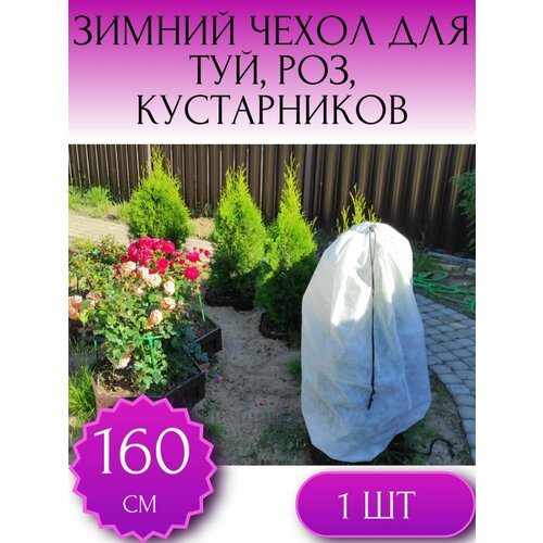 ���� ������ ����� �� �������� ��� ��� � �������������, ��� ���, ��� ������ � �������� ������ 160*80 ��, 1 ��. ������ ������