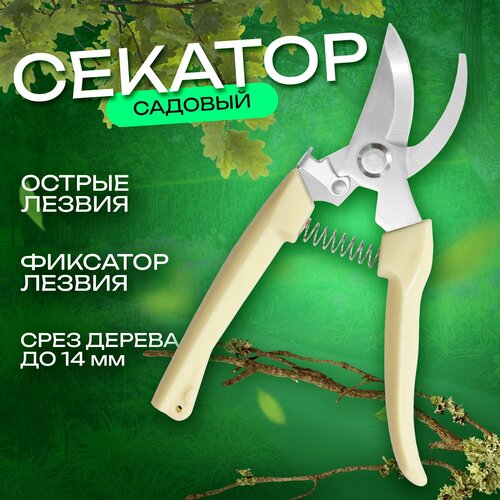 ���� ������� ������� / ������� ������� / ������� ��� ��������, ������ ������ ������