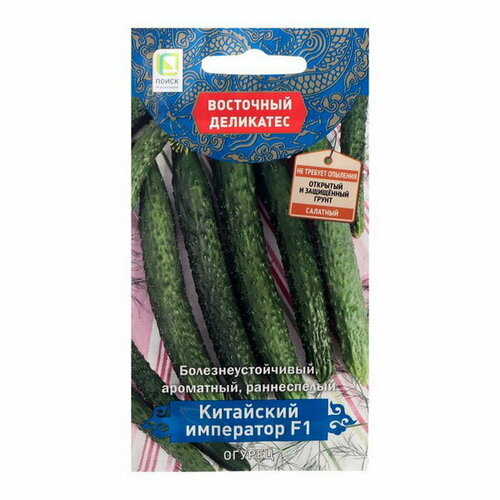 ���� ������ ������ 