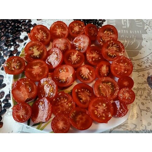 ���� ������������� ������ ������ ��������� ������ ������