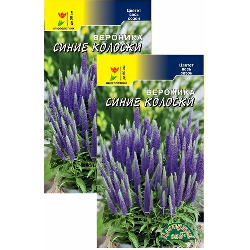 ���� �������� ����� ������� (0,1 �), 2 ������ ������ ������