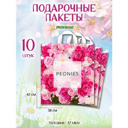 ���� ���������� ������ ����� �������������� ������ ������