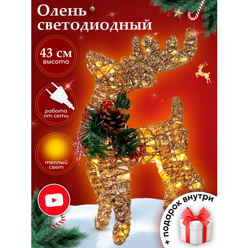 ���� ����� ������������ 