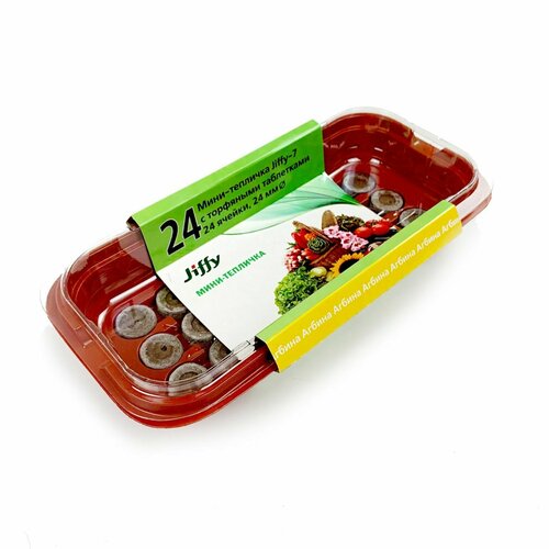 ���� ����-������� 