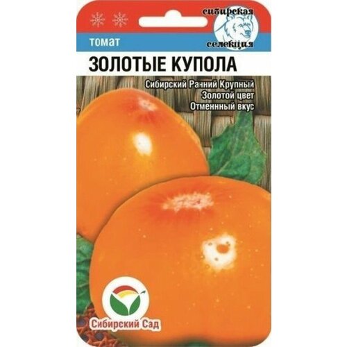 ���� ������ ����� ������� ������ 20�� ��� (��������� ���) ������ ������