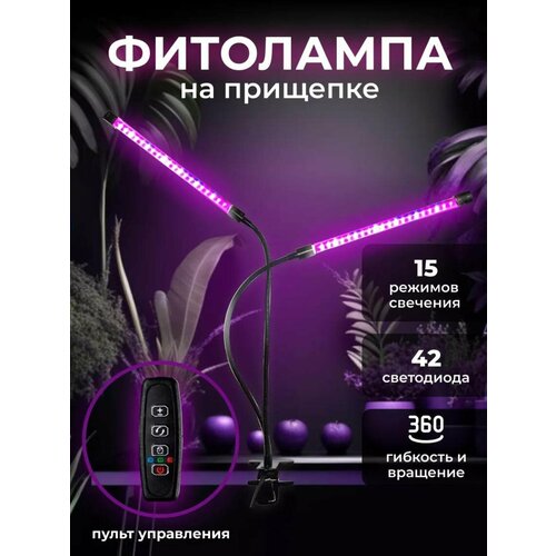 ���� ��������� ��� ������� � �������� ������� �������, ����� ��� �������� ������������, ���� �����, 2 ��������������� ������������ ��� �������� ������ ������