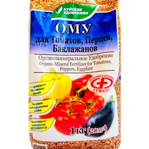 ���� ��� ��� �������, ������ � �������� 1�� ������ ������