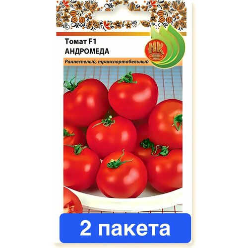 ���� ������ ������ ������� ������ 