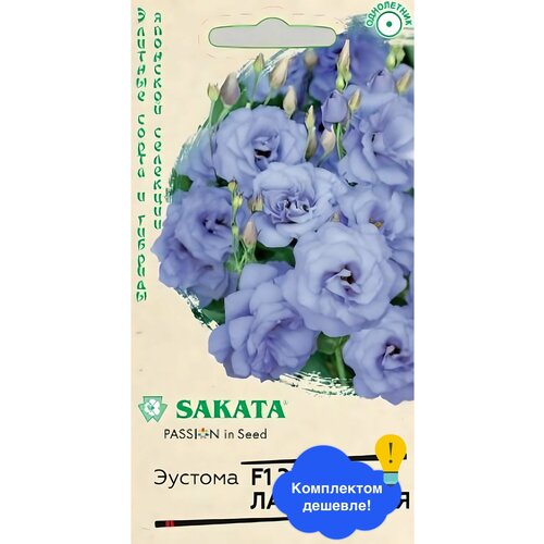 ���� ����� ������� ��� ���������� F1 ����� ������ ��������� ������ ������ ������