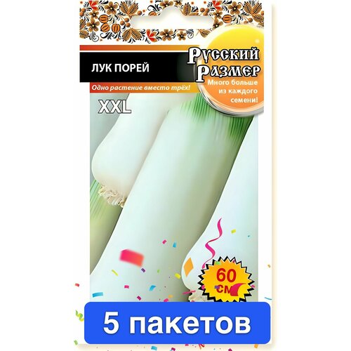 ���� ������ ������ ������� ������ 