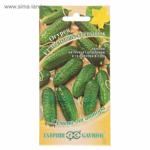 ���� ������ ������ �������-�������� F1 �������� 10�� ������������������ ������ (������) ������ ������