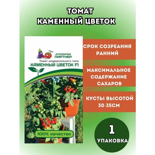 ���� ����� �������� ������, 1 �� ������ ������