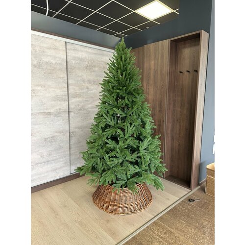 ���� ���� ������������� ������������� 210�� ������ ������