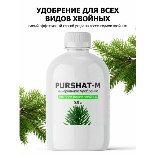 ���� ��������� ��� ������� � ������������ ������ (Purshat) 500 �� ������ ������