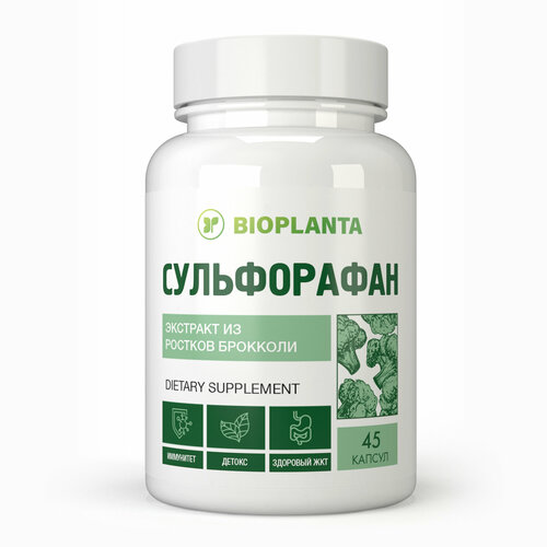 ���� ����������� ������ ������